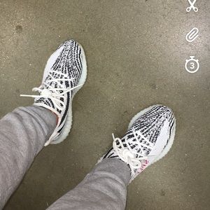 Zebra Yeezy Boost 350